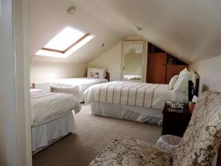 Отели типа «постель и завтрак» Kajon House B&B Clonmacnoise Трехместный номер, вид на сад-4