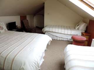 Отели типа «постель и завтрак» Kajon House B&B Clonmacnoise Трехместный номер, вид на сад-8